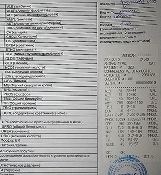 аа.jpg